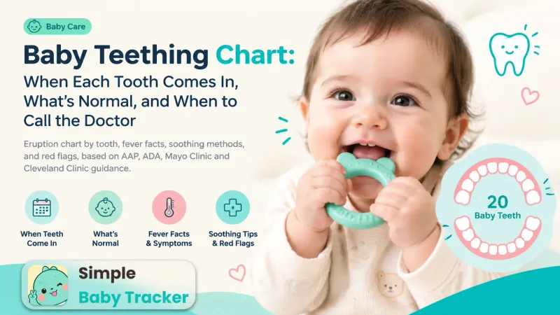 Baby Teething Chart: When Each Tooth Comes In, What's Normal, and When to Call the Doctor