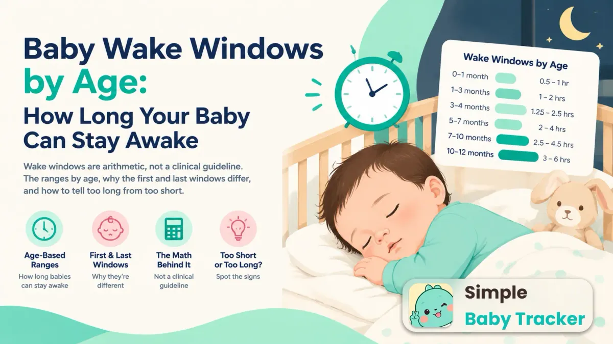 Baby Wake Windows by Age: How Long Your Baby Can Stay Awake