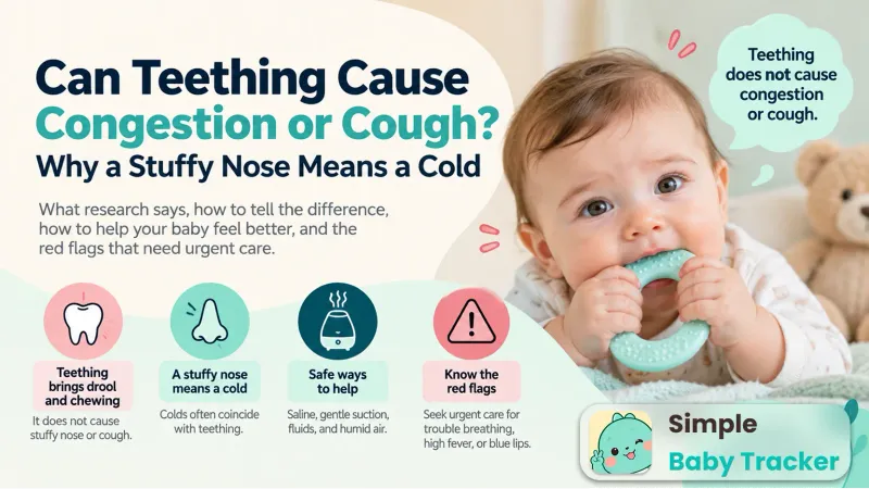 Can Teething Cause Congestion or Cough? Why a Stuffy Nose Means a Cold