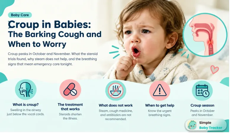 Croup in Babies: The Barking Cough and When to Worry