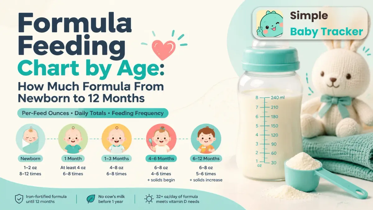Formula Feeding Chart by Age: How Much Formula From Newborn to 12 Months