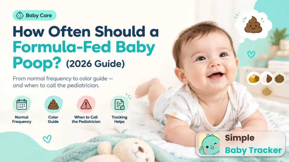 How Often Should a Formula-Fed Baby Poop? (2026 Guide)